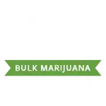 bulkmjseeds.com