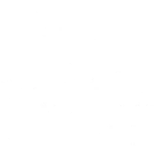 Script Anatomy