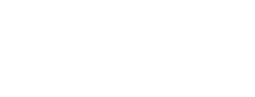 ynotfestival.com