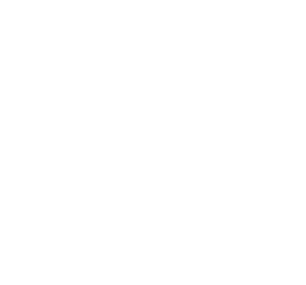 Loch Lomond Whiskies