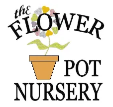 theflowerpotnursery.com