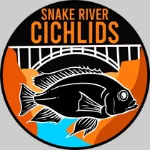 Snake River Cichlids