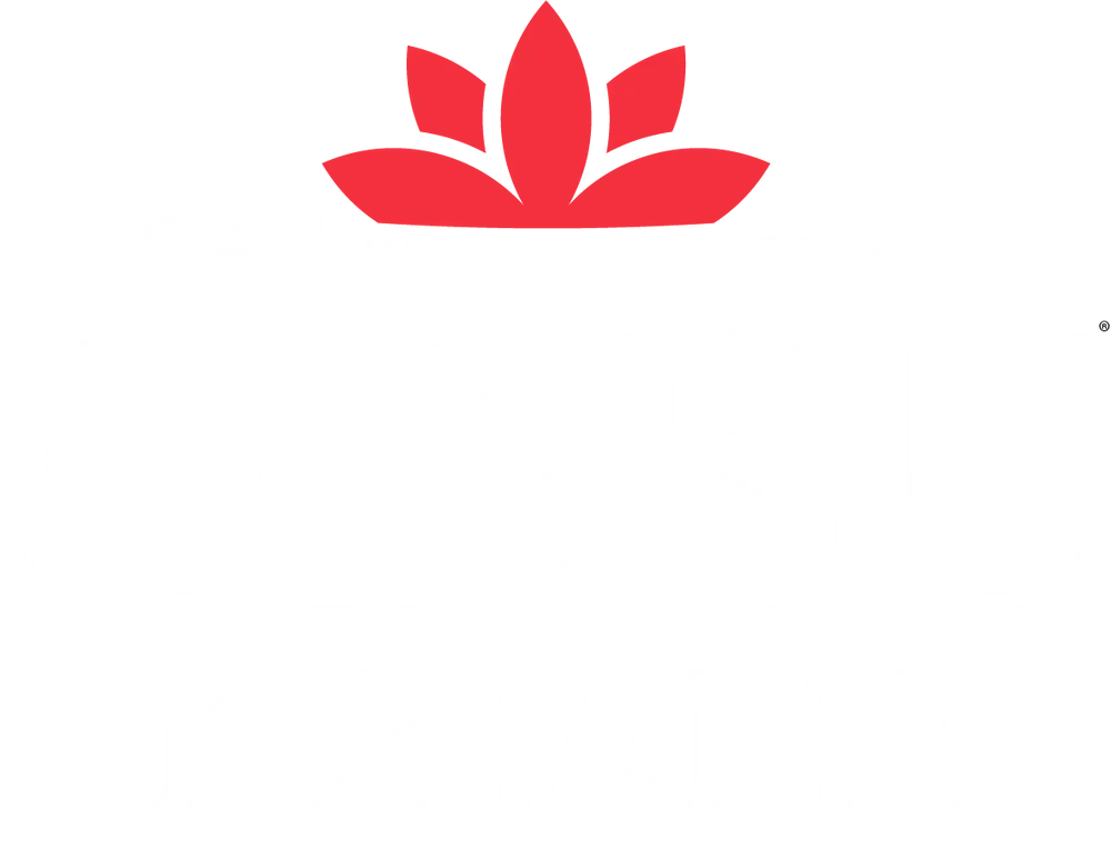 Ginsu Katana