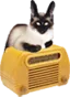 OTRCAT.com