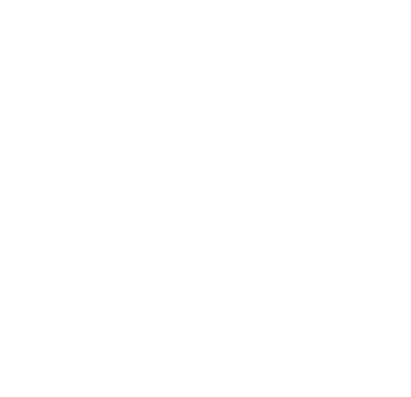 Village Properties