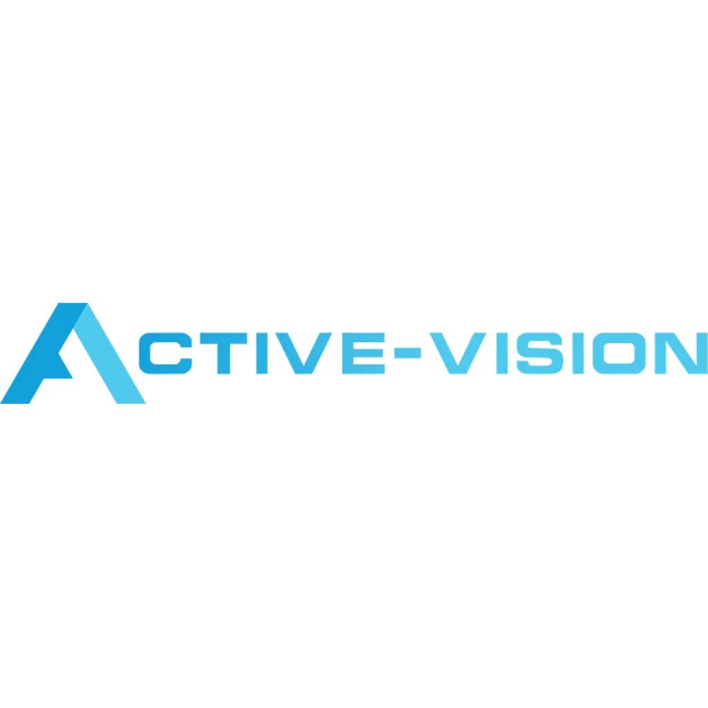 Active Vision