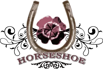 shophorseshoe.com