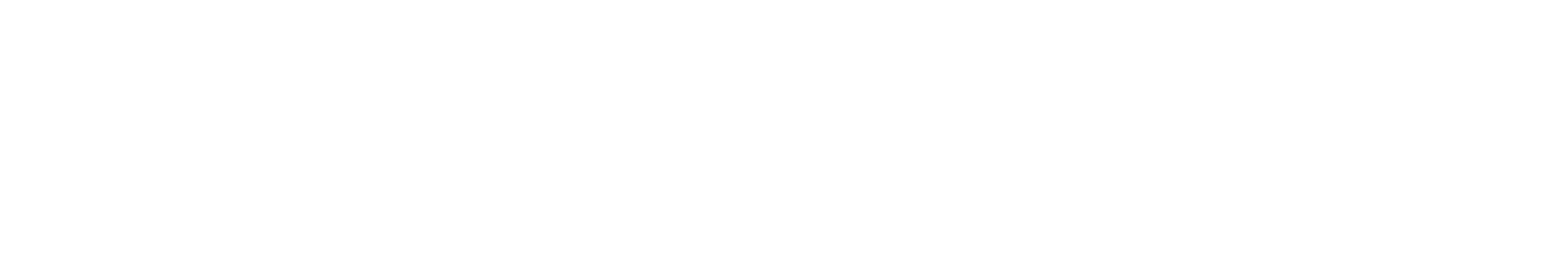 ACTI SNACK