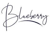 shop blueberryboutique