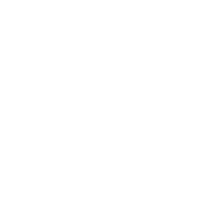 Mike Ferry