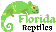 Florida Reptiles