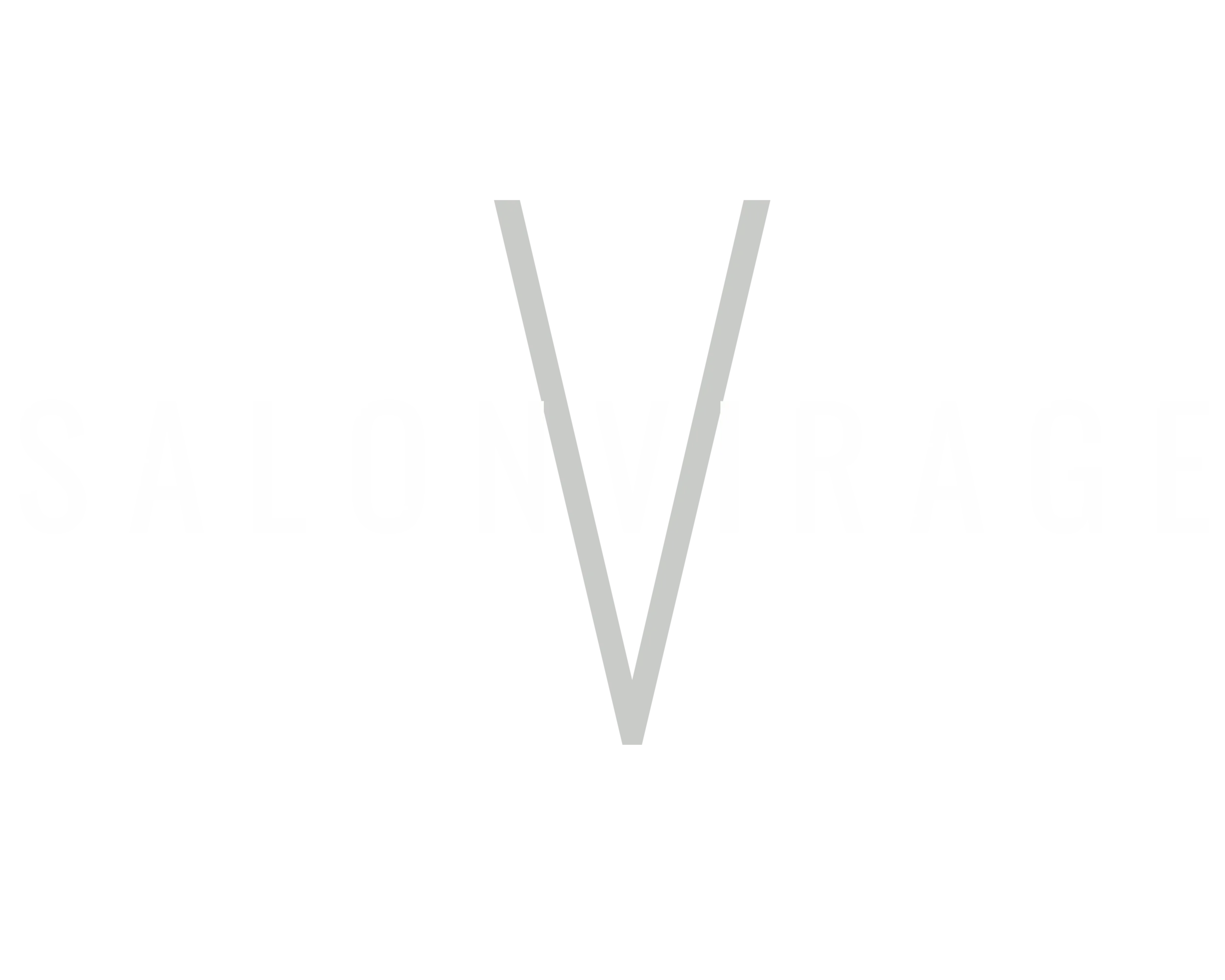 salonvirage.com