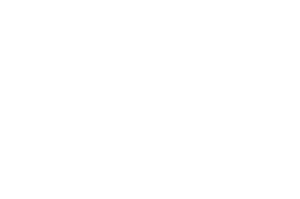 SKYN