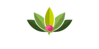 Kratom Sensation