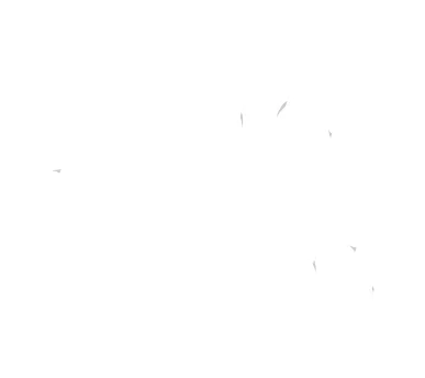 The Escape Date