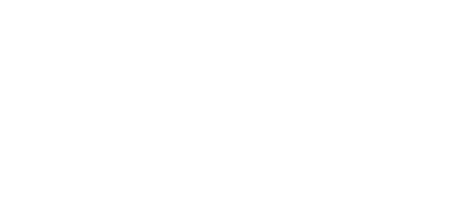 Echo Salon