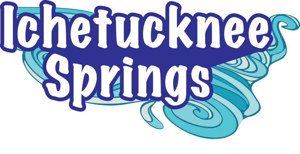 ichetuckneesprings.com