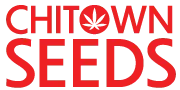 Chitown Seeds