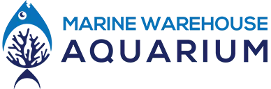 Marine Warehouse Aquarium