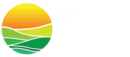 Oasis Cannabis