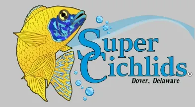 Super Cichlids