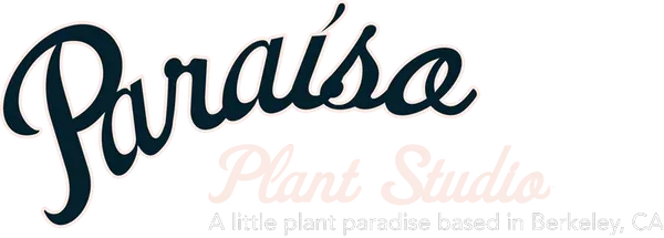 Paraiso Plant