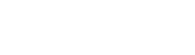 Flight Experience