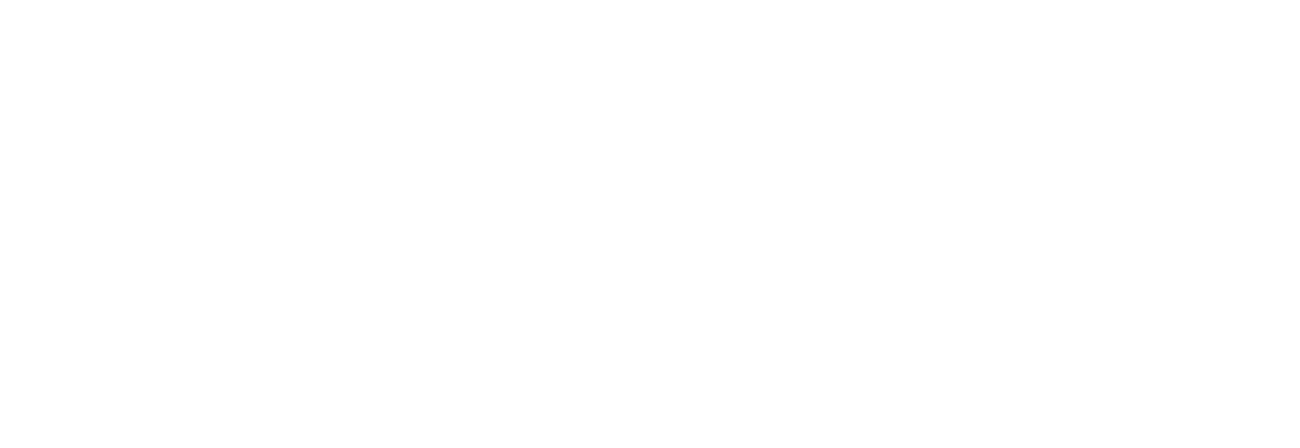 Precision Watches