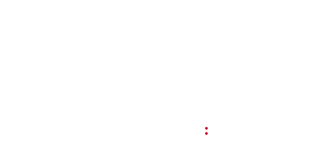 Pandora for Business