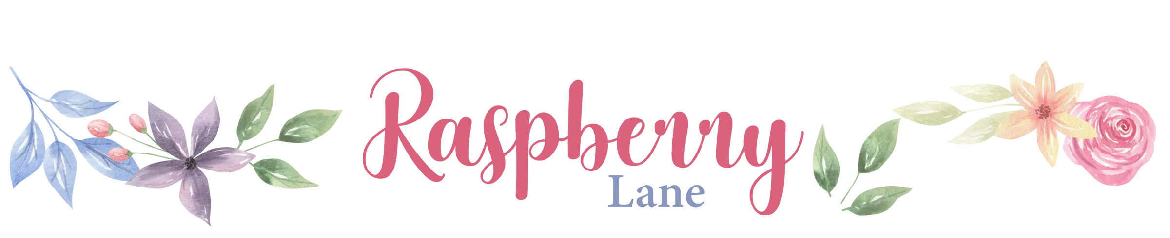 Raspberry Lane Boutique