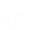 RnA ReSet