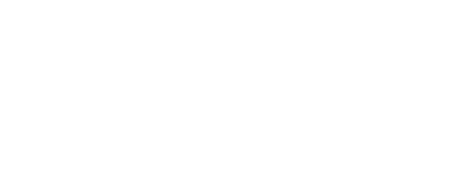 Lotus Energy Drinks