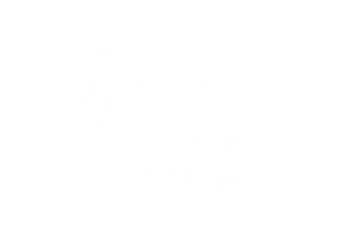 Vast Studio