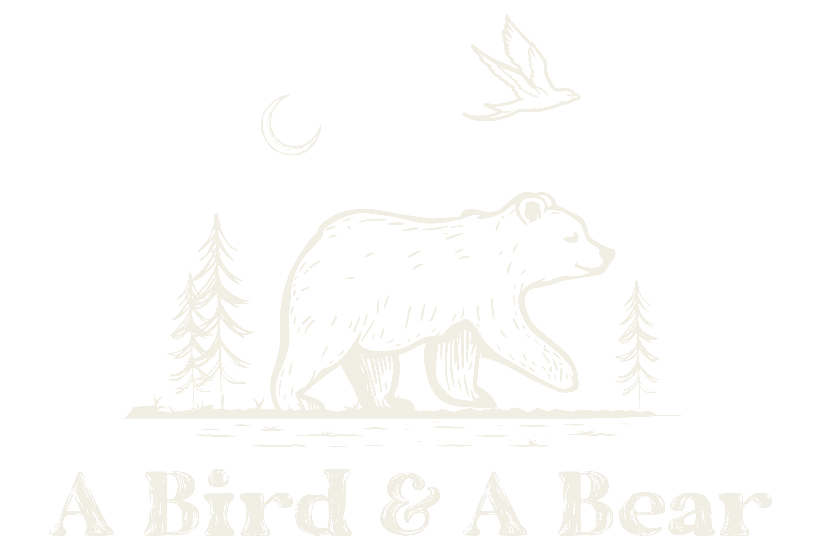 A Bird and A Bear