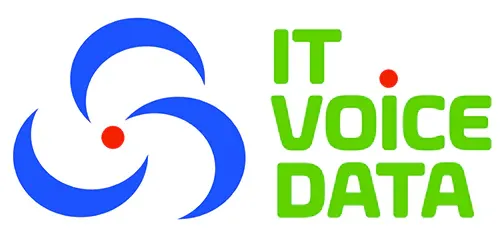 IT VOICE DATA