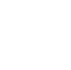 Dolphin Scuba