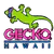 Gecko Hawaii