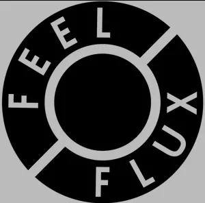 Feel Flux