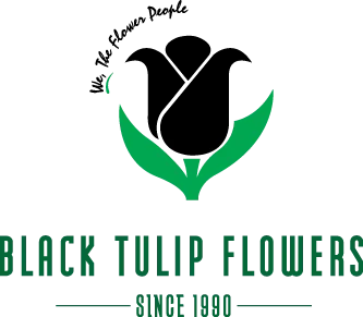 Black Tulip Flowers