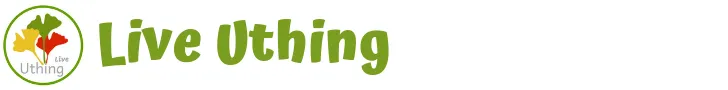 liveuthing.com