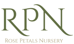 Rose Petals Nursery