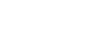 Sparky'S Mate