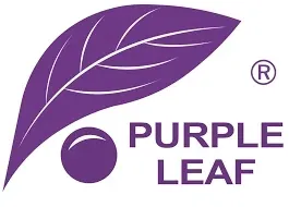 Purple Leaf