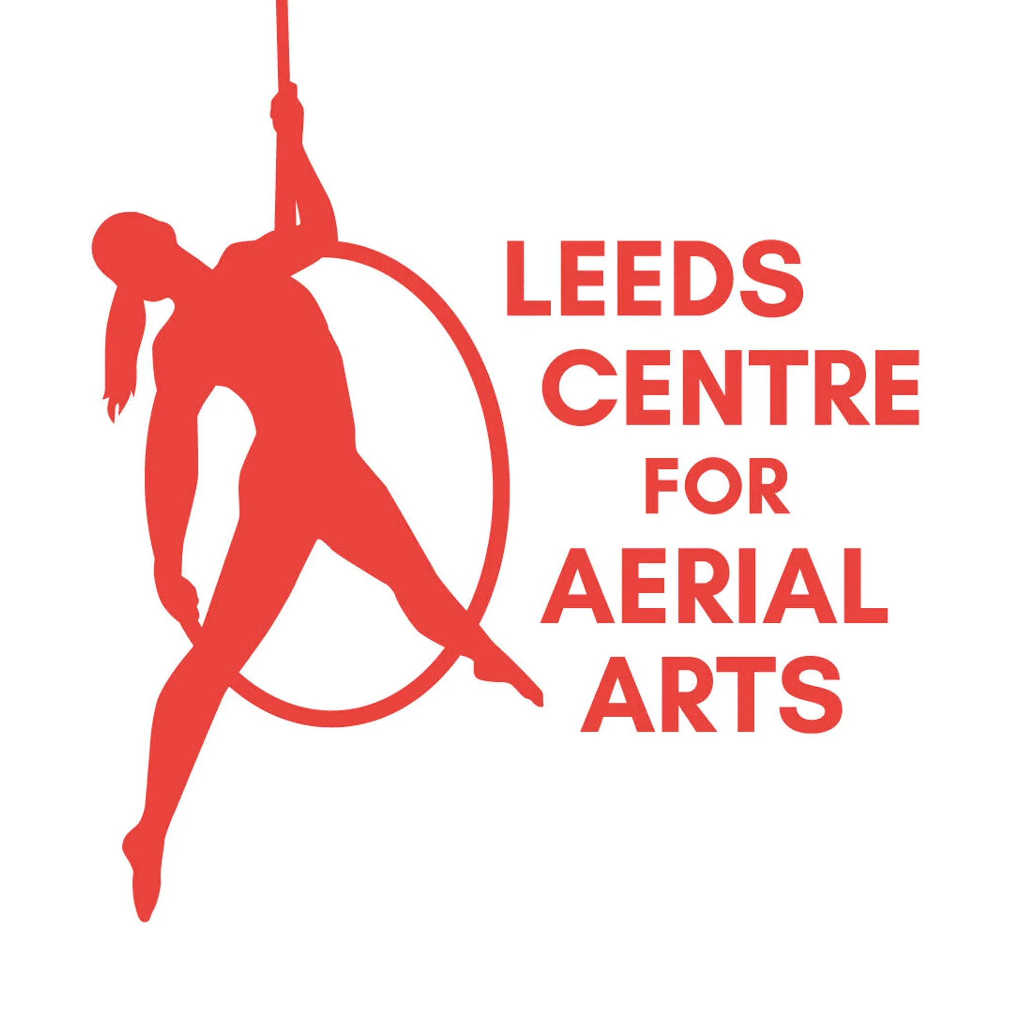 leedsaerialarts.co.uk