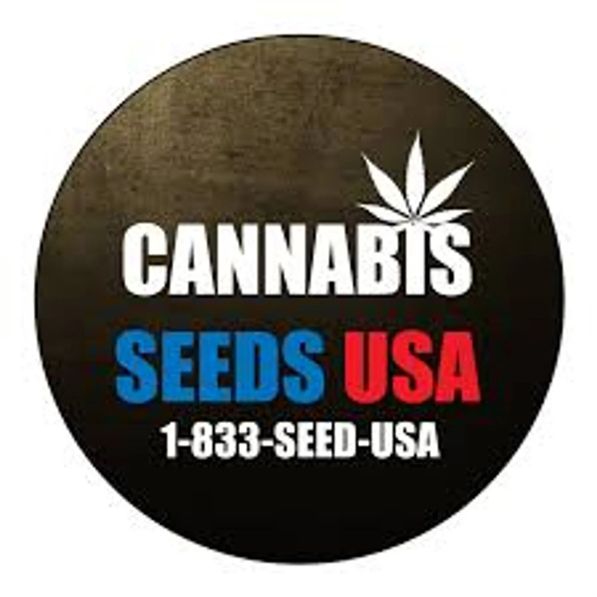 CANNABIS SEED