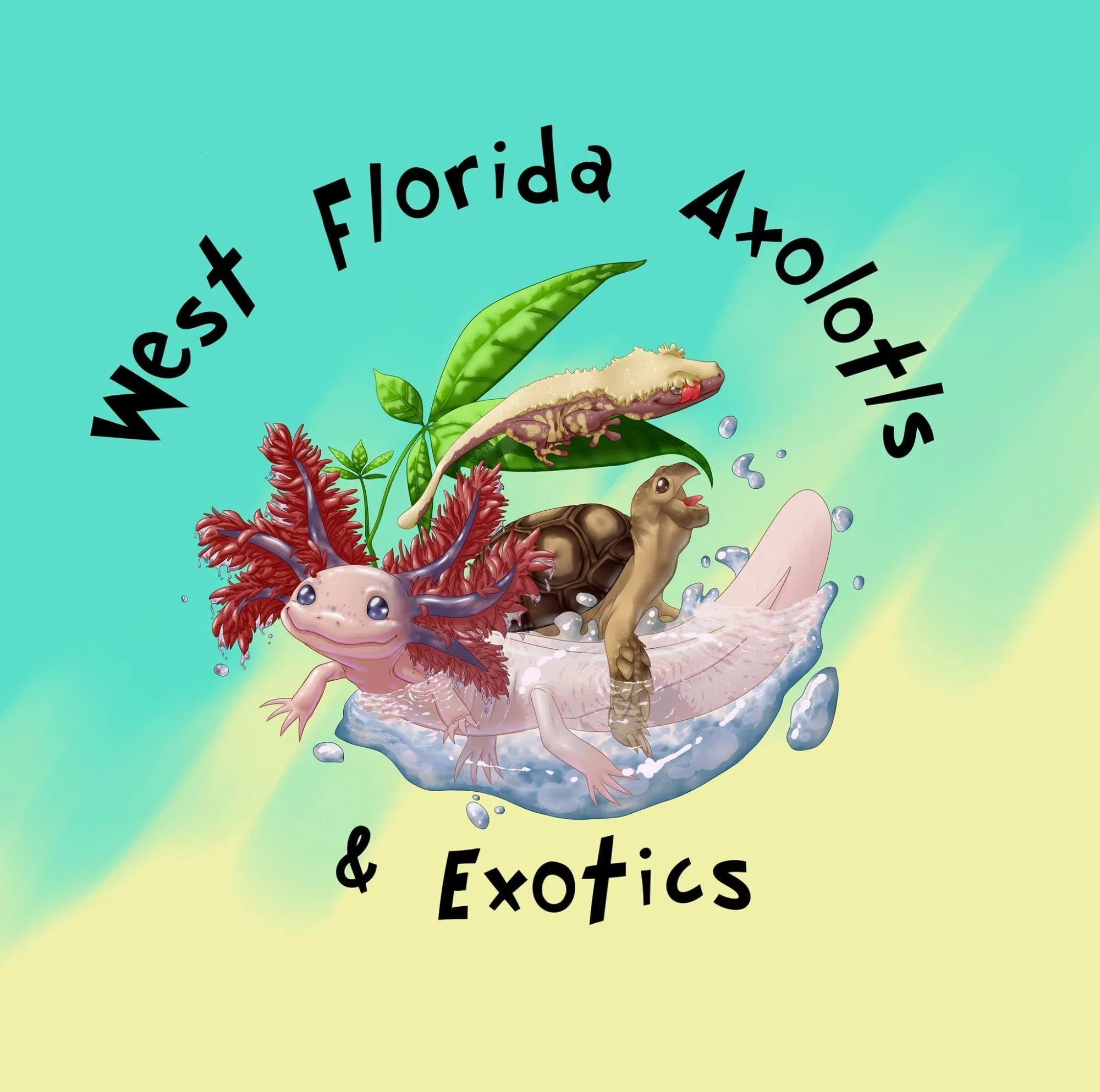 West Florida Axolotls & Exotics