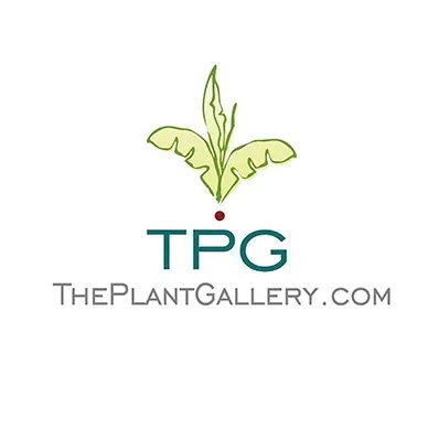 The Plant Gallery