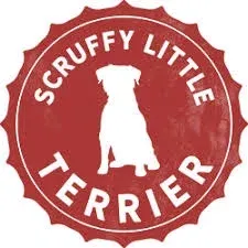 Scruffy Little Terrier