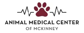 amcmckinney.com