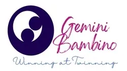 Gemini Bambino